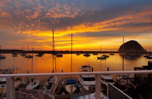 Morro Bay Hotel | Oceanfront Luxury at Gray's Inn & Gallery - 5 Star Escape