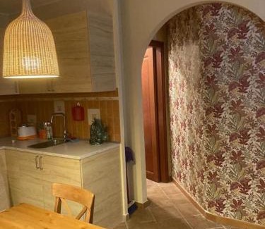 Zona XLV Castel di Guido Apartment | Cozy Mini Apartment in Rome - Pet and Child Friendly