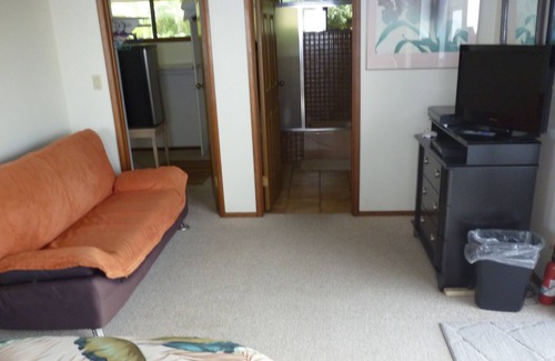 Honaunau-Napoopoo Bed & Breakfast | Serene Ocean View B&B with Spa and Breakfast Included