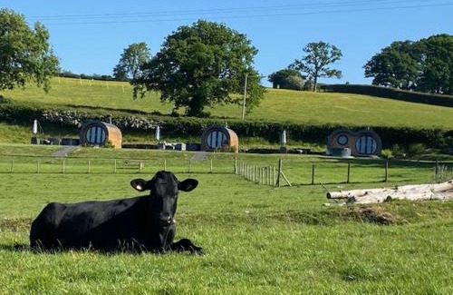 Erwood Other | Pet Friendly Great House Farm Pods with Hot Tub & High Rating