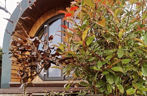 Erwood Other | Pet Friendly Great House Farm Pods with Hot Tub & High Rating