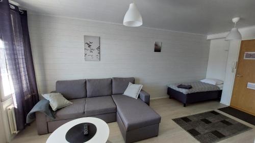 Jyvaskyla Apartment | Exceptional Kotimaailma Apartments with Family and Pet Amenities
