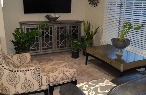 Plano Apartment | Peaceful Retreat in Prime Location with Family-Friendly Amenities