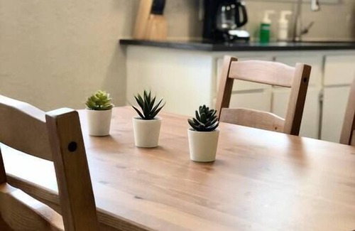 Central Arlington Apartment | Ideal Location! Walk to AT&T Stadium, Pet-Friendly Amenities