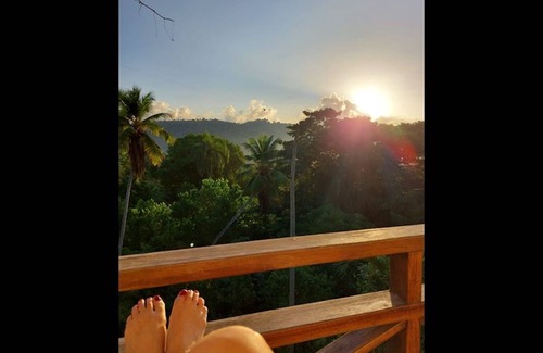 Samana Apartment | Inviting Palm View Apartment in Villa Coconut with Pool