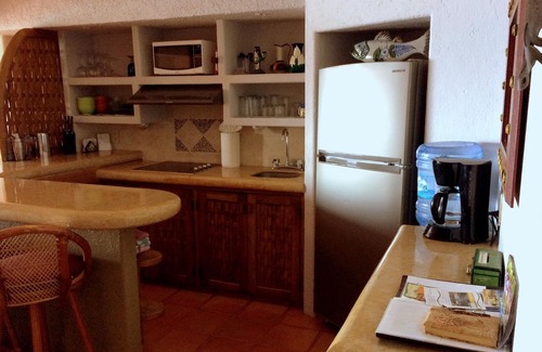 Ixtapa - Zihuatanejo Condo | Unforgettable Oceanfront Escape with Infinity Pool Access
