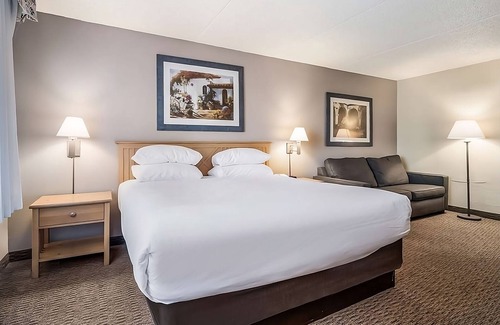 Palm Valley Resort | Relaxing Overnight Stay at Red Lion Goodyear Phoenix!