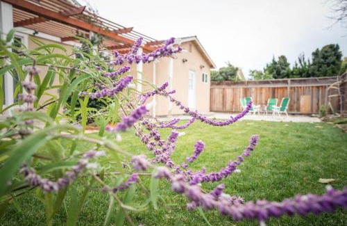 Berryessa House | Enjoy a Memorable Stay in San Jose with Kitchen Amenities