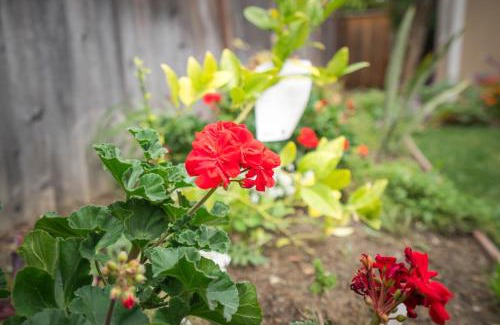 Berryessa House | Enjoy a Memorable Stay in San Jose with Kitchen Amenities