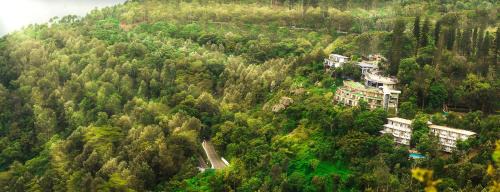 Yercaud Resort | Explore GReaT Trails Yercaud - A 4-Star Pet-Friendly Escape