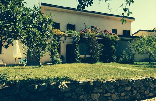 Cosoleto Villa | Inviting Villa Nestled in a Unique Olive Tree Forest