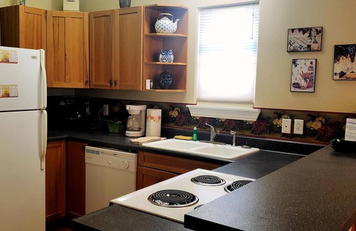 Kingsland Condo | Ideal Family Retreat with Lake View and Stargazing Access