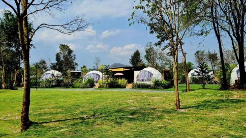 Khanong Phra Other | Pet-Friendly Greatland Glamping Khao Yai Resort Awaits