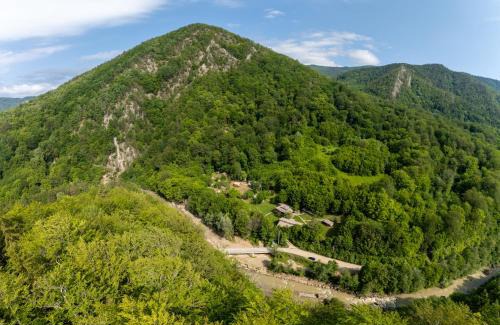 Gura Teghii Other | Eco-Friendly Green Camp: Adventure Glamping by the Ocean