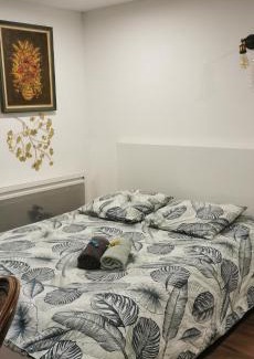 Foret Noire Apartment | Cozy Green Cellar Studio in Central Strasbourg