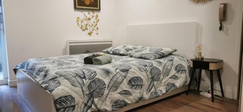 Foret Noire Apartment | Cozy Green Cellar Studio in Central Strasbourg