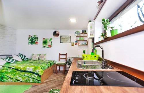 Izola House | Pet-Friendly Green Cottage Baredi in Beautiful Izola