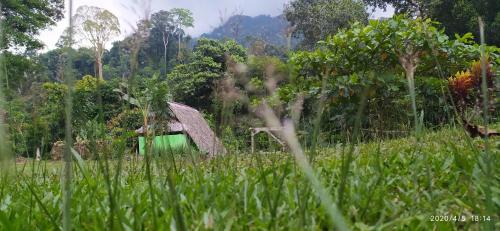Batang Serangan Hotel | Pet-Friendly Green Forest Tangkahan with Oceanfront Views