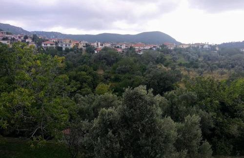 Vitala House | Mountain View Green Garden Apartment - Family & Pet Friendly