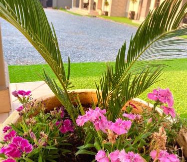 Ezulwini Apartment | Pet-Friendly Green Haven Apartments with Breakfast Included