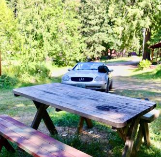 Ashford Other | Family-Friendly Green Hill at Rainier Lodge Near Entrance