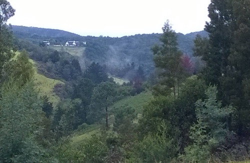 Bitou Apartment | Green Hills Forest Lodge, The Crags, Plettenberg Bay, South Africa - UNIT 3