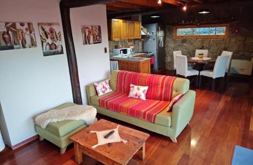 Macrozona Bahia Redonda y Primeros Faldeos Ski Chalet | Pet-Friendly Green House with a 9.6/10 Guest Rating