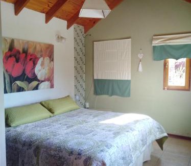 Macrozona Bahia Redonda y Primeros Faldeos Ski Chalet | Pet-Friendly Green House with a 9.6/10 Guest Rating