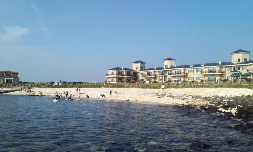 Jeju City House | Relaxing Green Jeju Udo Pension with Oceanfront Views