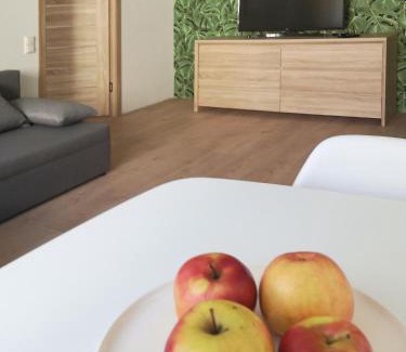 Liepaja Apartment | Guest Rated 9.9: Green Leaf Apartments for Family Getaways