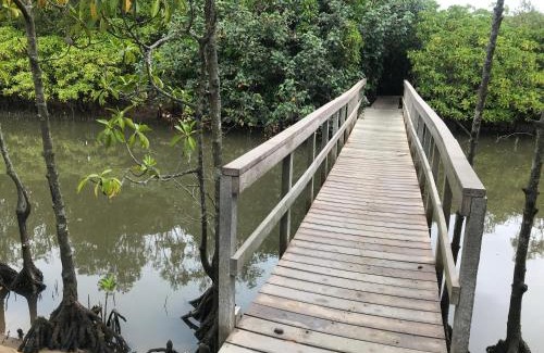 Mtunzini Apartment | Welcoming Green Leaf Cottage: Family-Friendly Retreat