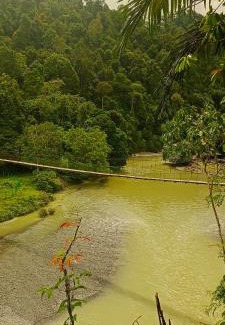 Batang Serangan Cabin | Pet-Friendly Green Lodge Tangkahan with Oceanfront Views