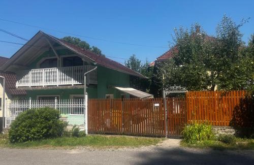 Sovata House | Green