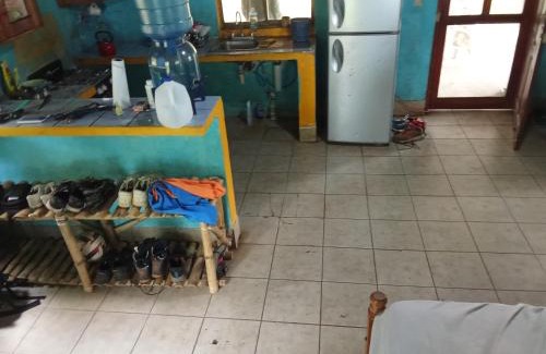 Rivas Other | GReEN TURTLE