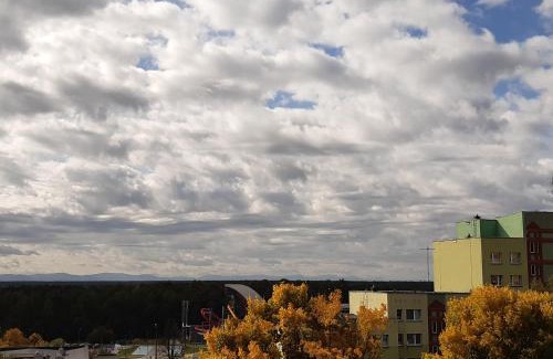 Tychy Apartment | Inviting Green View Apartment: Pet-Friendly & Accessible Stay