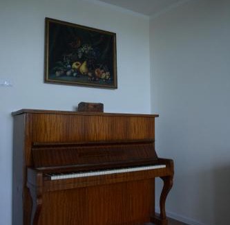 Tychy Apartment | Inviting Green View Apartment: Pet-Friendly & Accessible Stay