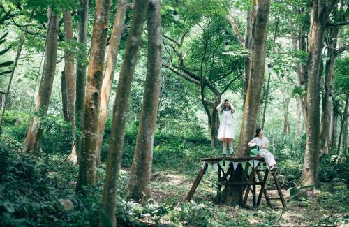 Sanyi House | Guest Rated: 10/10 at Reindeer Miaoli Green Wave Hotel