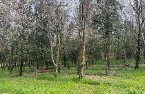 Borgo Milano Apartment | Oceanfront Escape at Green Woods - Guest Rated 9.5/10