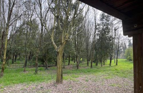 Borgo Milano Apartment | Oceanfront Escape at Green Woods - Guest Rated 9.5/10