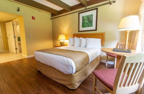 Argillite Resort | Experience Greenbo Lake State Resort Park - Pet Friendly Oasis