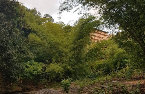Arima Apartment | Convenient Greene Kairi Hotel Near Asa Wright Nature Centre