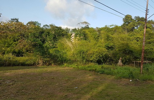 Arima Apartment | Convenient Greene Kairi Hotel Near Asa Wright Nature Centre