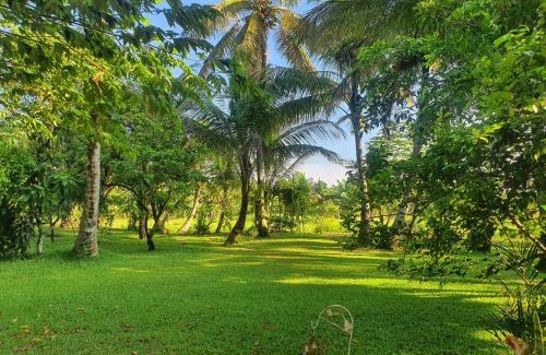 Ilukgoda Apartment | Eco-Friendly Escape at GreenHeart Villa - Nature Awaits