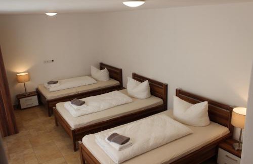 Friedrichshofen-Hollerstauden Hotel | Family-Friendly Greenpartment Ingolstadt with Pet Amenities