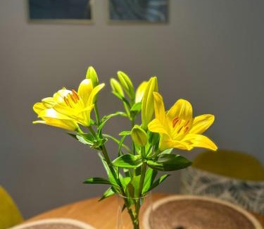 Przemysl Apartment | Guest Rated 9.9: Greenside SunPark Apartment for Families