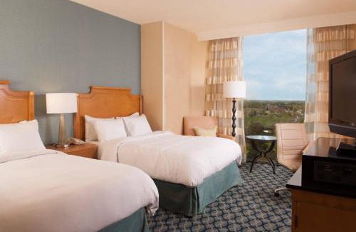 Greenville - Spartanburg Hotel | Discover Greenville Marriott: Pet-Friendly Retreat by the Sea