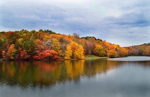 Altamont Apartment | Guest Rated 10/10 at Greeter Falls Lodge Unit 3