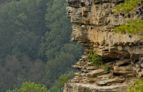 Altamont Apartment | Guest Rated 10/10 at Greeter Falls Lodge Unit 3