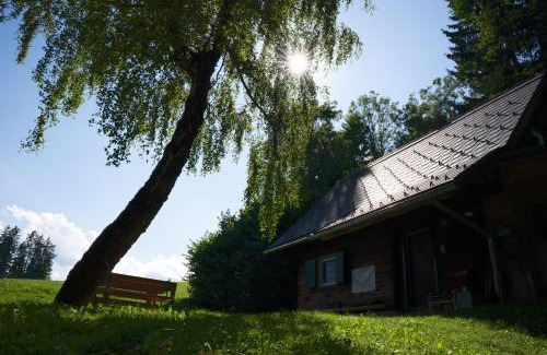 Edelschrott House | Gregor's Ferienhaus im Wald: Pet Friendly with Hot Tub