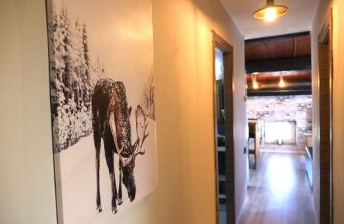 Tremp Apartment | Cozy Greta Apartment: Centrally Located & Pet Friendly